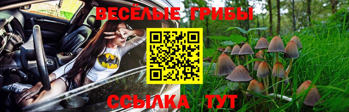 Галлюциногенные грибы GOLDEN TEACHER Сибай