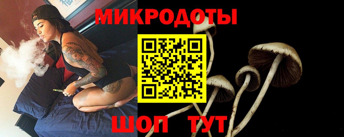 Сибай  Галлюциногенные грибы Psilocybe  купить закладку  Вход с VPN  Галлюциногенные грибы Psilocybe 